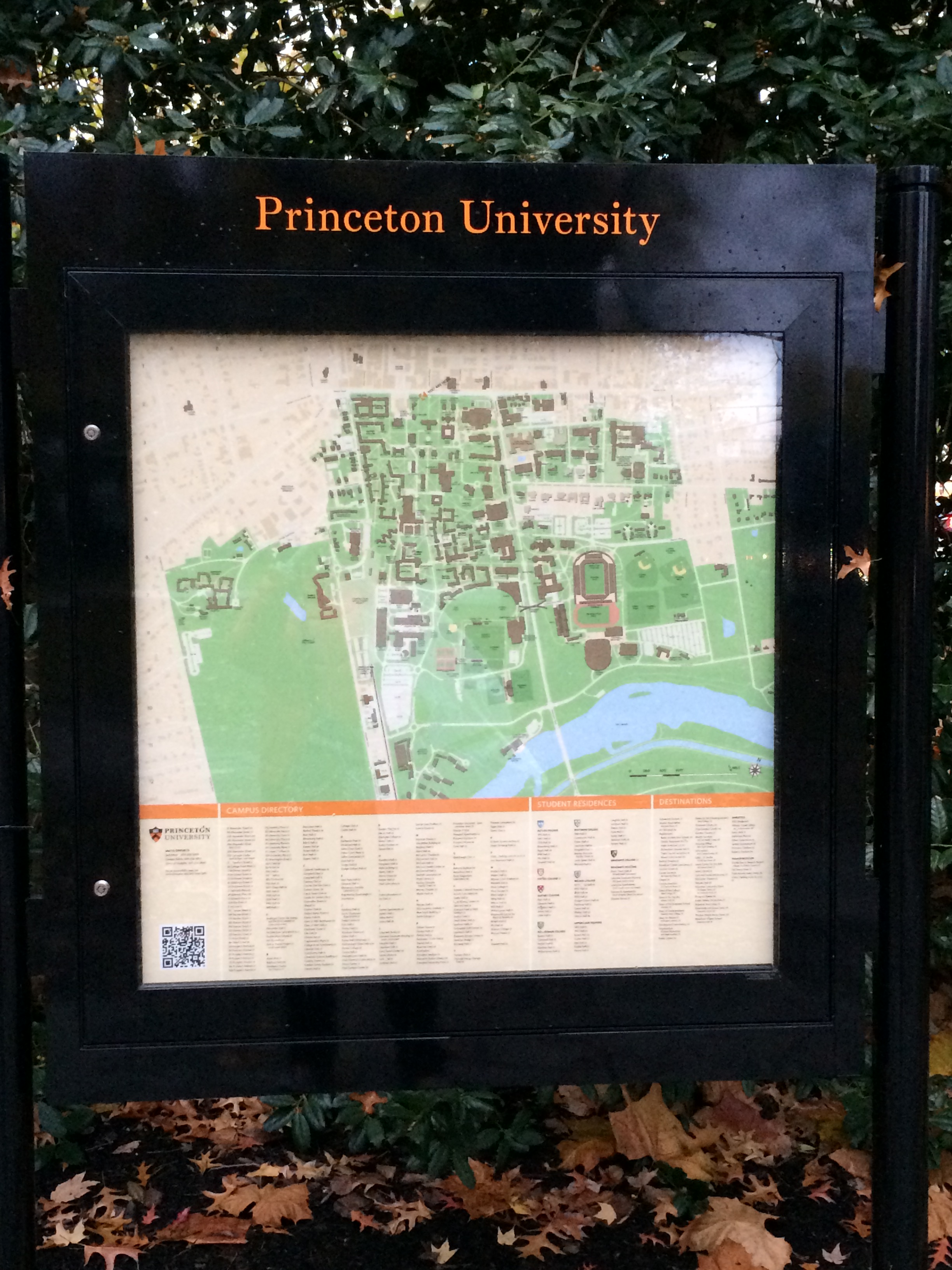 Princeton26