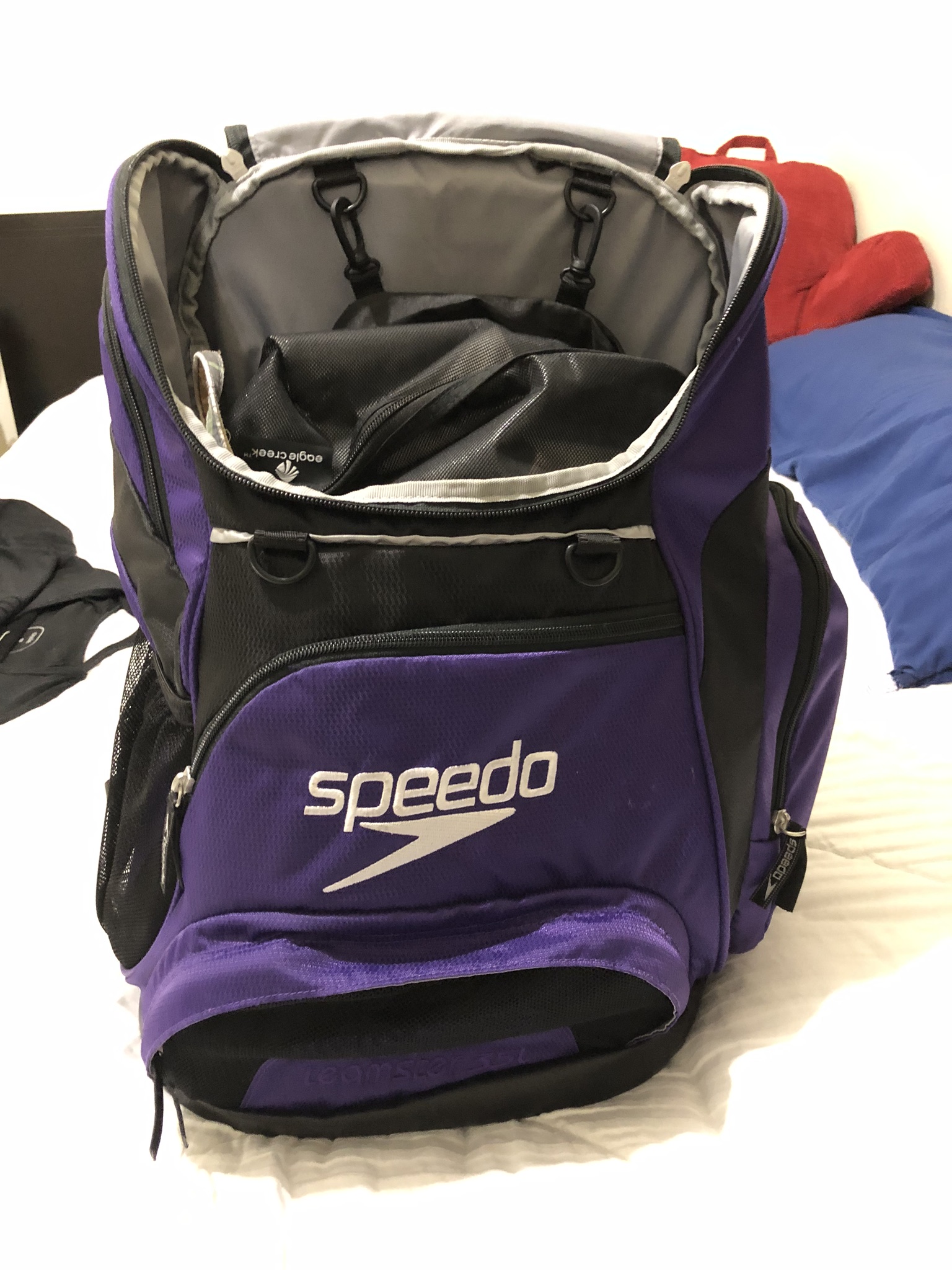 Speedo Backpack-1