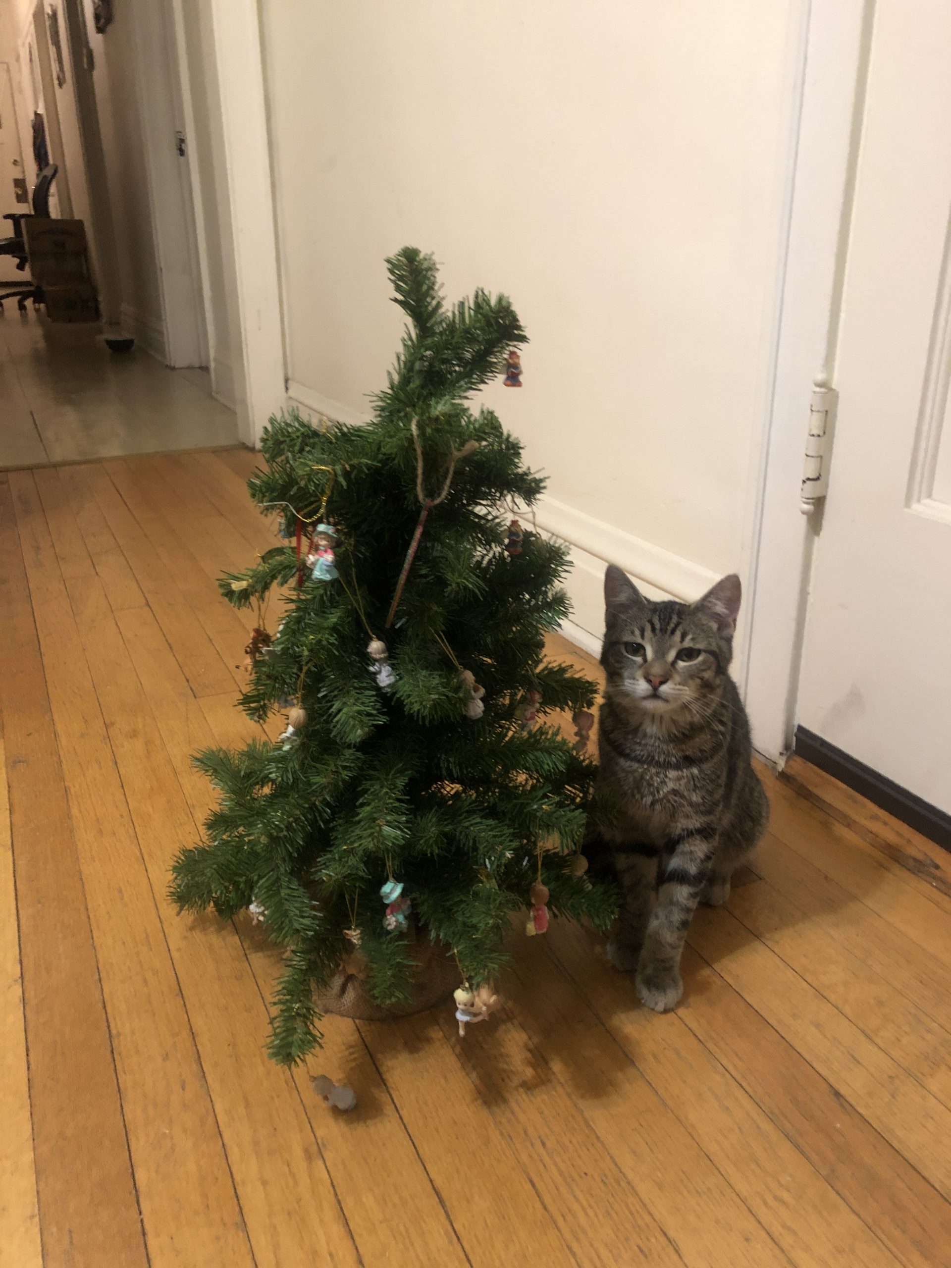 Christmas Tree-4